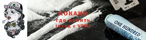 стаф Дмитровск