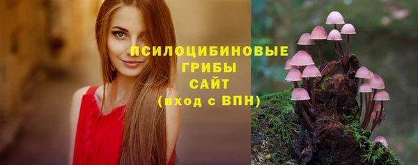 ешки Дмитров