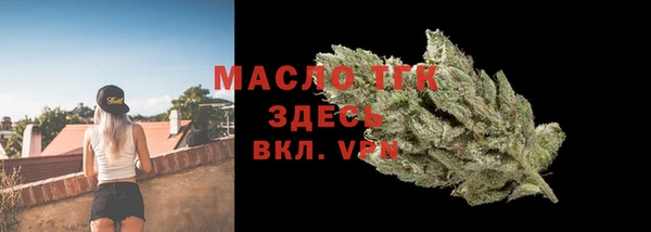 стаф Дмитровск