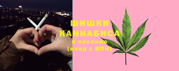 стаф Дмитровск