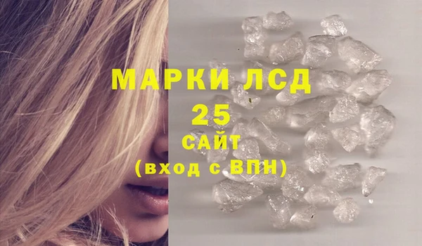 стаф Дмитровск