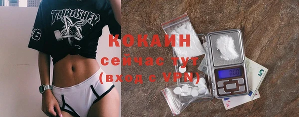 стаф Дмитровск