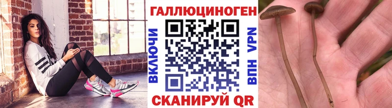 продажа наркотиков Завитинск Галлюциногенные грибы ЛСД